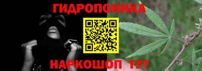 apvp Гай